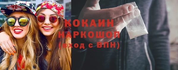 крисы Абаза
